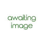 Coghlan's Twist Anchor (32 cm)