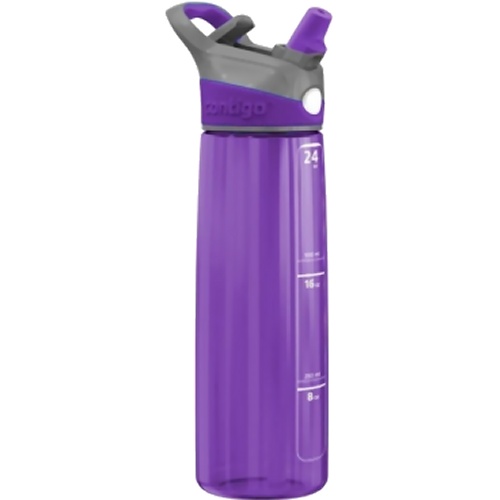 Contigo Addison Autospout Water Bottle (Purple)