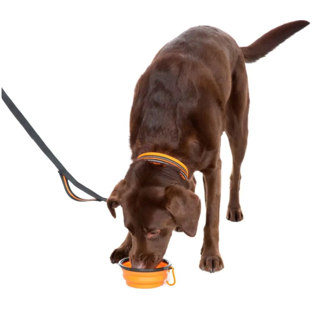 Trespaws Sippy Collapsible Dog Bowl - Set of 2 - Image 2